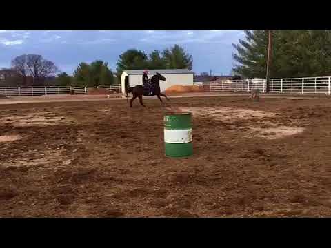 Runbridled - 2.20.2018 - Practice