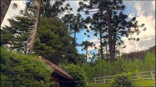 SENTINDO A DOR DO MUNDO 🌎