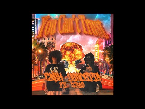 You Can’t Trust ft. Z3RO prod. FLOCKABOI