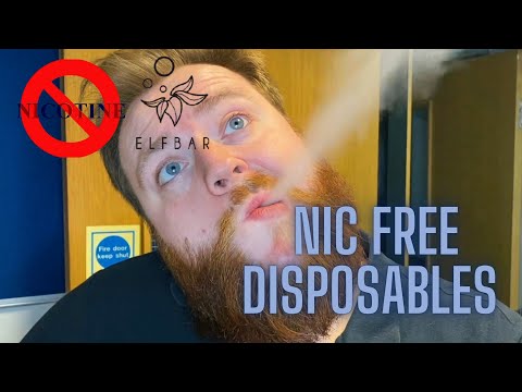 Elf Bar No Nicotine Amazon