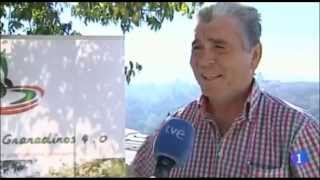 Iznaoliva - noticias cheftour TVE Mirador de San Nicolas