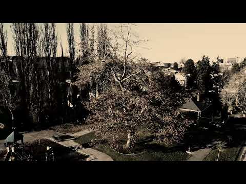 Drone Video: [Ominous Edition] Kiwanis Park in Everett, WA