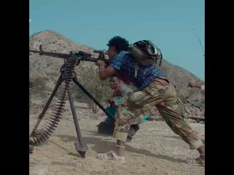 ረመፀይ ኣርኪብካ በለለይ #shorts