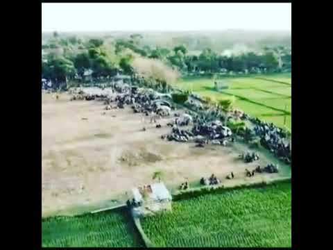 Even tahunan Lomba layang-layang Raden jegeg