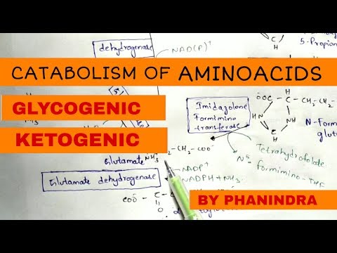 Beta oxidation of Fatty acids Energetics By phanindra