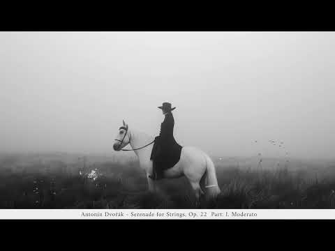 Classical Serenades   Classical Music Gems