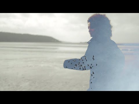 Video thumbnail for Corncrakes