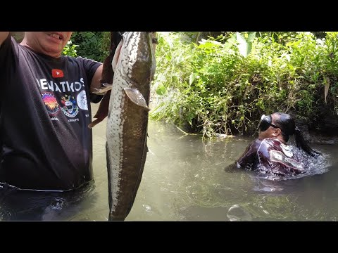SE02EP93 Part 2 - GANGGA BARASONG DALAG  YARE kahit LABO | Catch Clean Cook - San Pablo City, Laguna