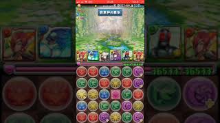 ガイアドラゴン後輪【パズドラ】