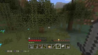 [Minecraft]サバイバる。