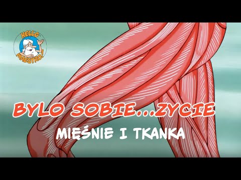 Bylo Sobie... Zycie 🌱 - Mięśnie i tkanka tłuszczowa 💪