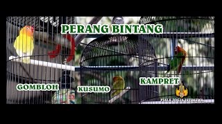 Download lagu PIALA JOGJA ISTIMEWA 1812 : Kusumo, Kampret Dan Gombloh Perang Bintang Love Bird Lintas Generasi mp3