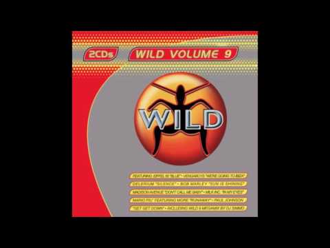 Wild Vol. 9 - Millenium Megamix by DJ Simmo