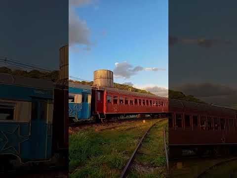 Trem Rumo Ao Natal - 10.12.2025  Antonina- Paraná #Antonina #Paraná #Brazil