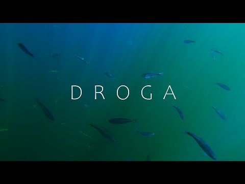 DarkPro - DROGA Big Stan (videoclip oficial) prod. @VictorReservaa