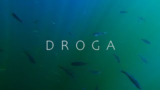 Droga Music Video