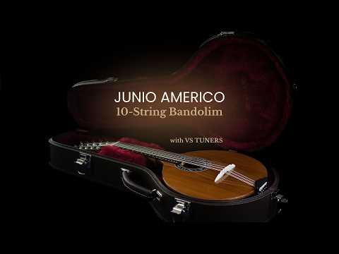 Junio Americo 10-String Mandolin | Brazil (with VS Tuners) image 11