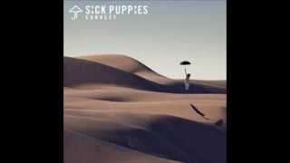 Run - Sick Puppies