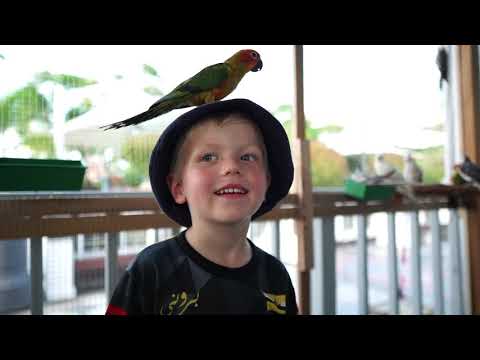 Animals in the Park - December School Holiday Activity