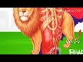 Hindustan Meri Jaan Border Movie Hindi Song