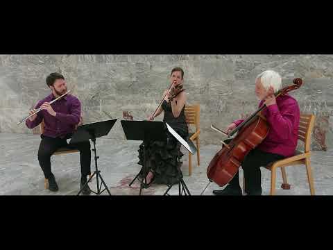 J. Haydn: Londoner trio 1, Hob.IV:1: I. Allegro moderato