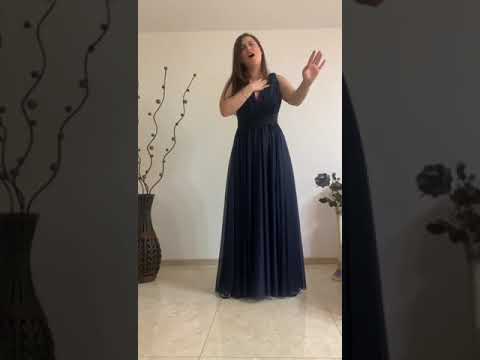 FINAL Radiant Ray of Music 2020, Oproiu Andra - "S.O.S."