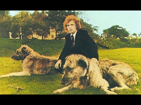 Country Fair video thumbnail