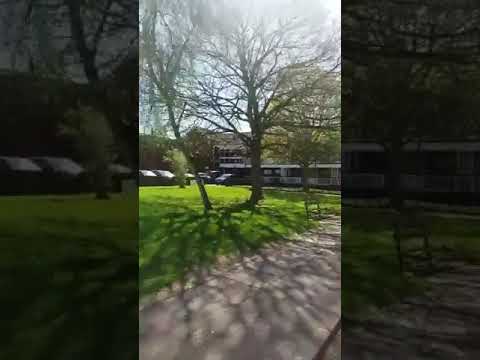 (NM) Max Twigz X (Rebellion) Mally on Opp Block