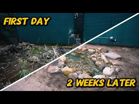 Transforming a 25 YEAR OLD Pond | The Buttefly Place Westford Massachusetts