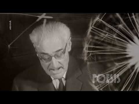 Poesis: Alexandru Philippide - Întâlnire în Munţi (@Arhiva TVR)