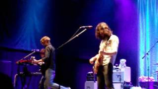 lotus- minus the bear