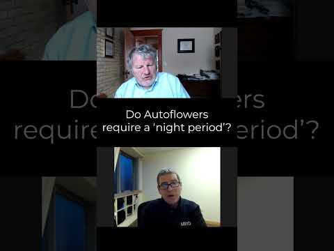 Нужен ли автоцветам ночной период?