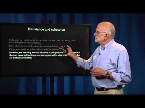 Pathogen Evolution: Managing the Microbiota