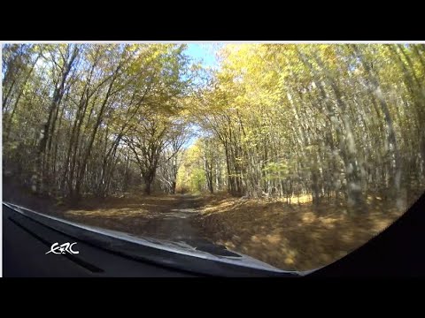 RALLY HUNGARY 2020 - Craig Breen onboard on SS3