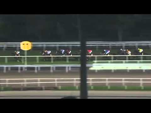 Sehen Sie, wie Dunboyne Express (Shamardal) den G1 International Cup in Kranji, Singapur, 2014 ge...