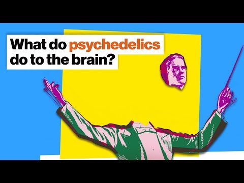 How psychedelics work: Fire the conductor, let the orchestra play | Michael Pollan | Big Think