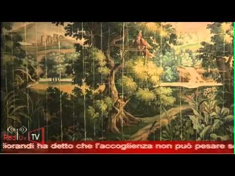 RTTR I Carton al notiziario regionale RTTR I Carton al notiziario regionale