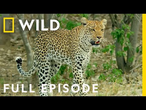 The Crown (Full Episode) | Savage Kingdom