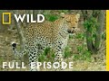 The Crown Full Episode Savage Kingdom