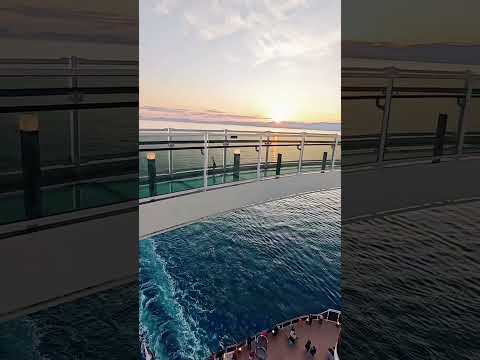 Thumbnail for Wonna be my love aboard msc Seaview wiyh msc friend Favoloski #mylove  #mscseaview