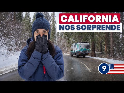 😱 WE DON'T IMAGINE EXPERIENCE THIS when visiting Sequoia National Park 🌎 Ep.9 #California 🇺🇸