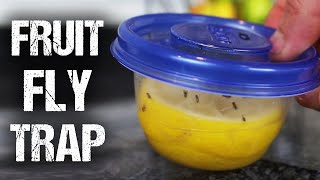How To Make a "Lemon Fresh" Fruit Fly Trap