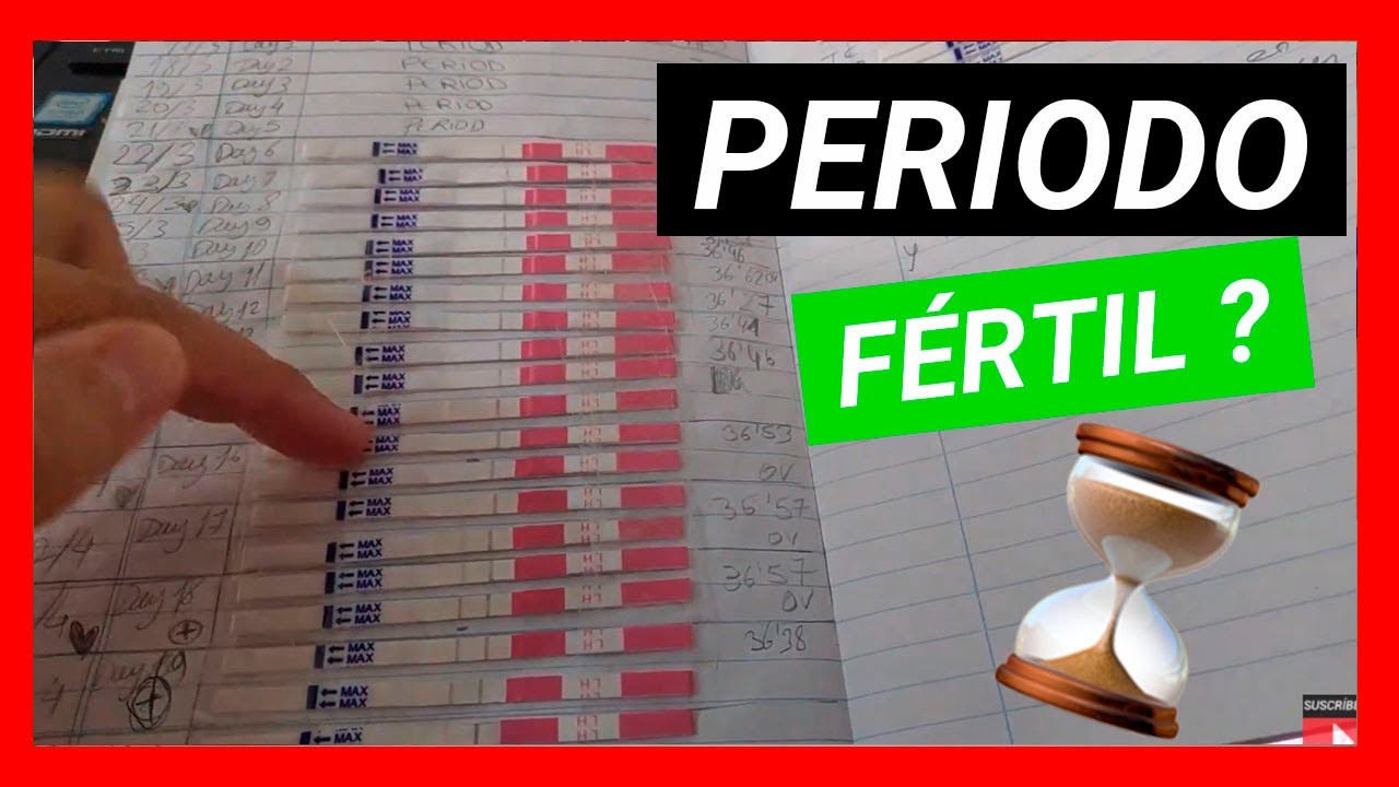 Watch 🤔¿CUÁNTOS días DURA la OVULACIÓN de la mujer Now 🤔¿CUÁNTOS días DURA la OVULACIÓN de la mujer