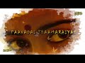 Aathangara Marame Tamil Whatsapp Status