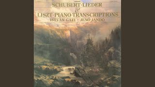 Winterreise D. 911, Op. 89 - No. 21 Das Wirtshaus