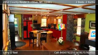 preview picture of video '2352 County Route 3 Olive NY 12461'