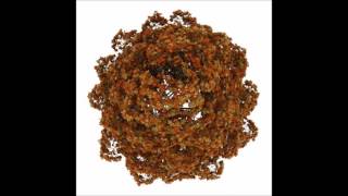 Sean C. Johnson -  UP