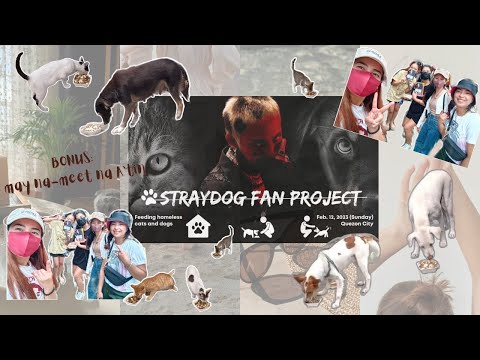 FEEDING STRAY DOGS & CATS: Fan project inspired by Felip's new song, STRAYDOGS | Zayna