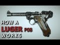 How a Luger P08 ( Parabellum pistole 1908 ) works
