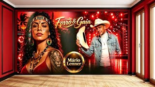 FORRÓ & GAIA -FUI PRA FEIRA 